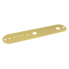 AP0650-002 GOLD CONTROL PLATE