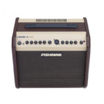 Fishman lbx store 500