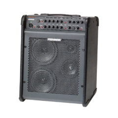 Fishman Loudbox Performer LBX-EX3 slight angle